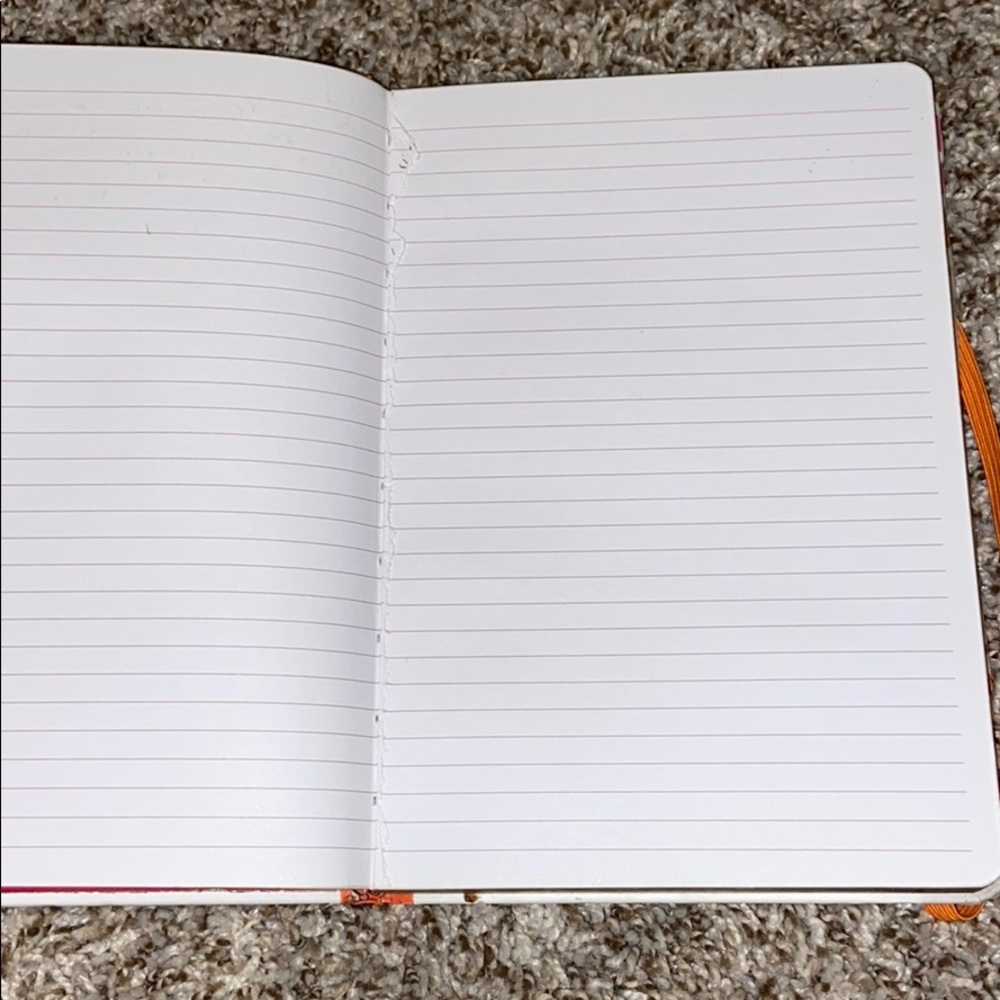 Elephant Journal - Picture 3 of 3